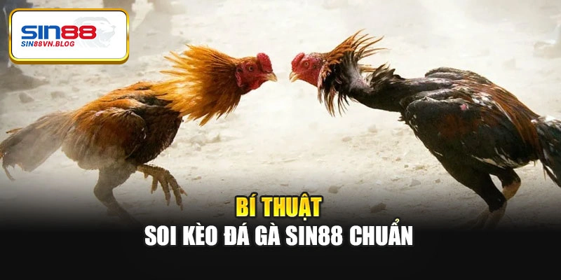 Bí thuật soi kèo đá gà Sin88 chuẩn