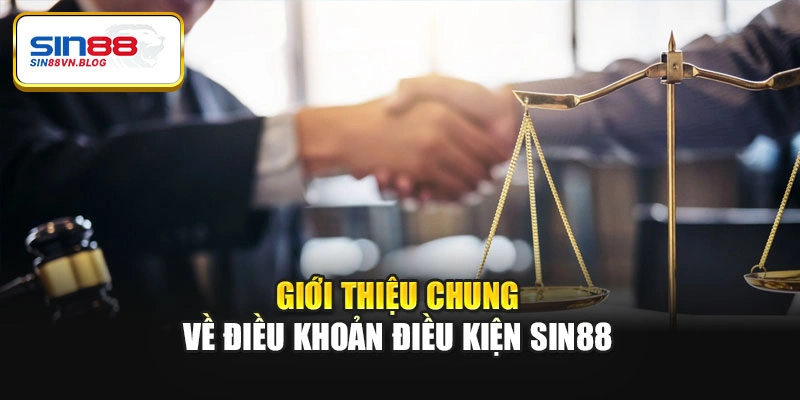 Giới thiệu chung về điều khoản điều kiện Sin88