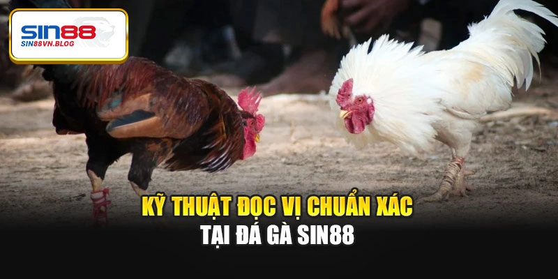 Kỹ thuật đọc vị chuẩn xác tại đá gà Sin88